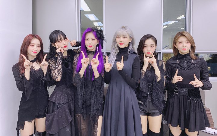 DREAMCATCHER Beber Rahasia Raih Kesuksesan Di Luar Negeri Dan Hadapi Komentar Jahat Lewat Musik