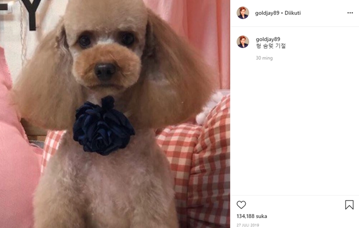 \'Anak\' Kesayangan Suga BTS dan Sehun EXO Ternyata Punya Hubungan Ini 2
