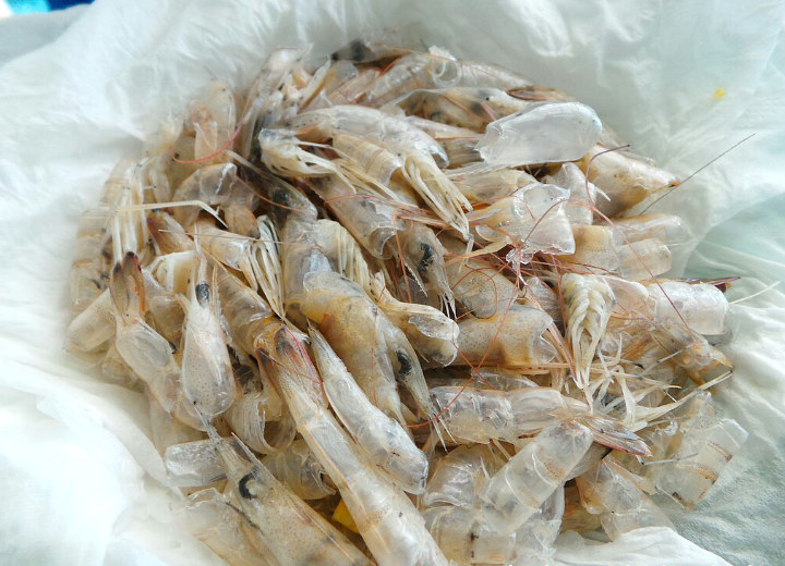Sering Dibuang, Kepala Dan Kulit Udang Ternyata Bisa Bikin Masakan Nikmat