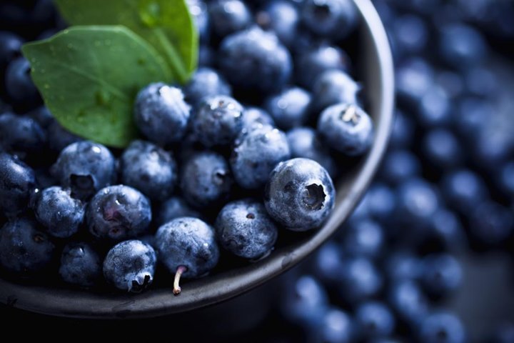 Blueberry, Buah Kecil Yang Nikmat Namun Punya Banyak Manfaat