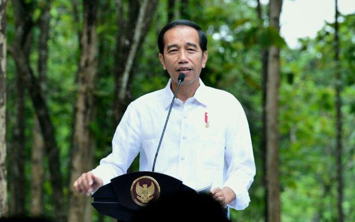Jokowi Minta Masyarakat Tetap Tenang: Hampir Semua Pasien Corona Bisa Sembuh