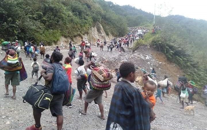 Veronica Koman Ungkap Fakta Asli di Balik Evakuasi Ribuan Warga Akibat KKB Papua