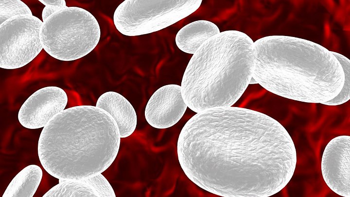 Hati-hati, Minum Antibiotik Sembarangan Juga Dapat Merusak Sel Darah Putih