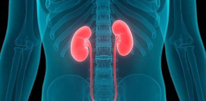 Yang Terparah, Konsumsi Antibiotik Sembarangan Bisa Sebabkan Gagal Ginjal