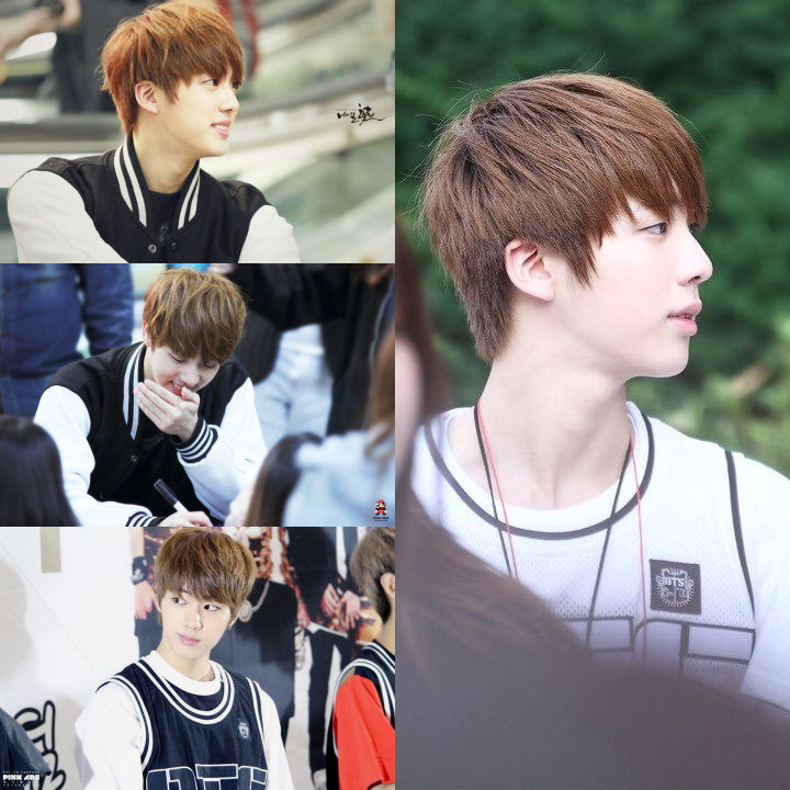 Netter Soroti Visual Jin BTS