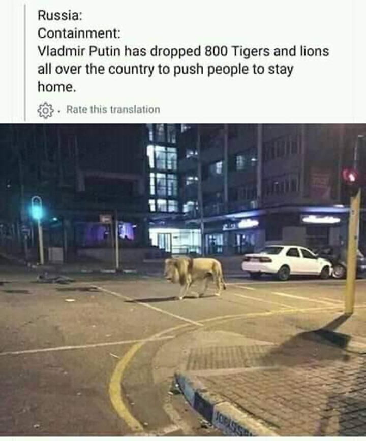 Viral Putin Lepas Singa