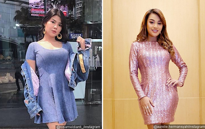 Rosa Meldianti Posting Foto Cantik Mirip Aurel Hermansyah, Netter Kompak Bilang Editan