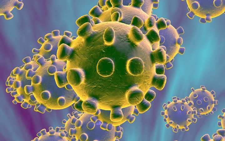 Corona Bisa Bertahan di Suhu Tertentu, Pakar Sebut RI Aman Dari Sebaran Virus Lewat Udara