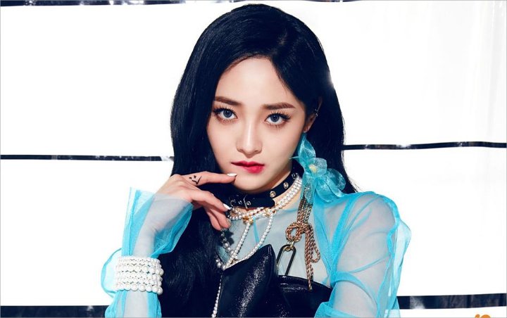 Pledis Ajukan Gugatan Tertib Lawan Kyulkyung Sebab Pemutusan Kontrak Tanpa Dasar Pledis Ajukan Gugatan Tertib Lawan Kyulkyung Sebab Pemutusan Kontrak Tanpa Dasar