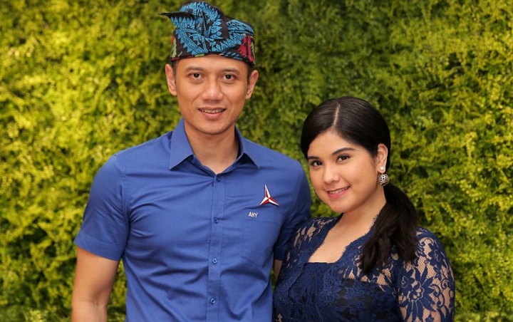 Nasib Annisa Pohan Pasca Foto Bareng Bupati Karawang Yang Terinfeksi Corona