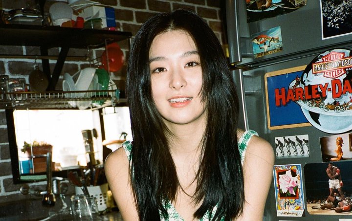 Baru-baru ini Seulgi Red Velvet mencoba fliter baru dan memamerkannya via Story. Beberapa menyukai tampilan sementara Seulgi, tapi beberapa membencinya.