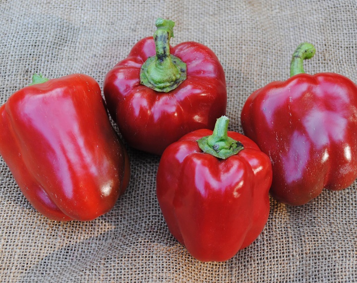 Paprika Merah