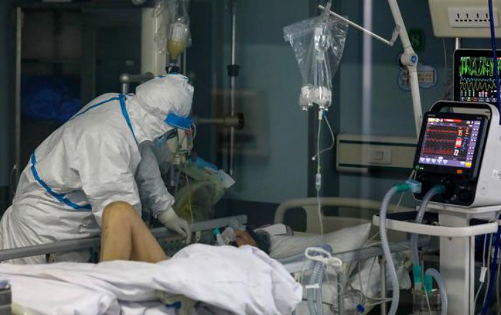 Butuh 5 Dokter Spesialis Tangani Corona Papua Barat Siap Gaji Rp 50 Juta Bulan