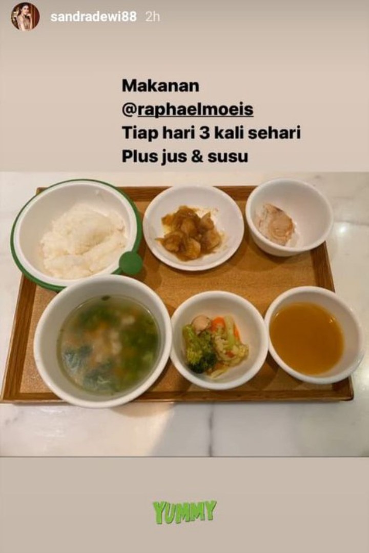 Sandra Dewi Bagikan Menu Raphael Moeis Sehari-Hari, Ada 6 Mangkok Tiap Kali Makan