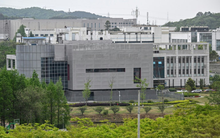 Laboratorium Wuhan Dituding Jadi Sumber Virus Corona, Sang Direktur Akhirnya Buka Suara