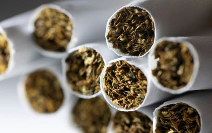 Nikotin Diklaim Dapat Melindungi Orang dari Infeksi Corona, Peneliti Prancis Siapkan Uji Lanjutan