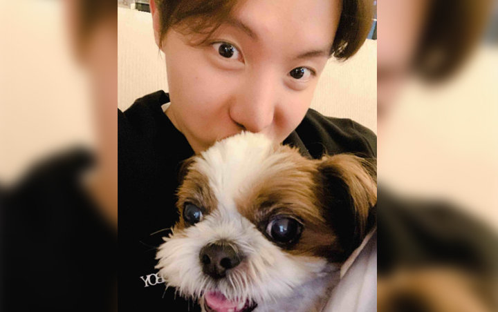 Anjing Kesayangan Auto Mager Tiap Kali Diajak Main J-Hope BTS, Ini Buktinya