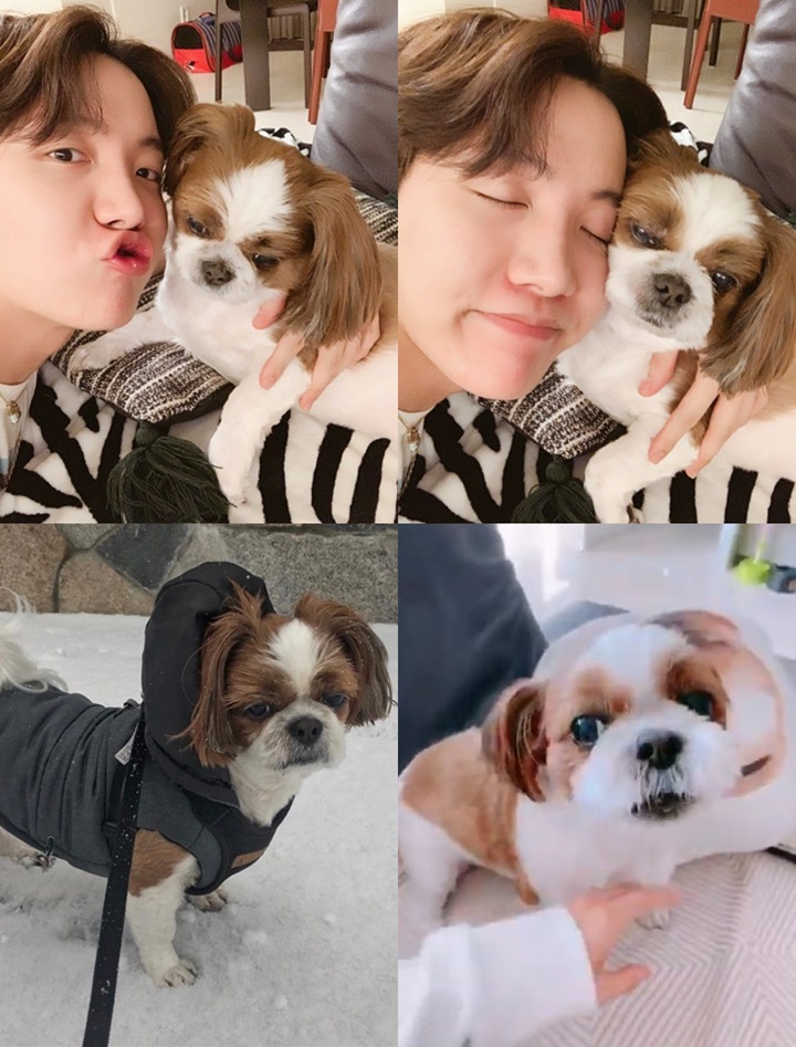 Anjing Kesayangan Auto Mager Tiap Kali Diajak Main J-Hope BTS 1