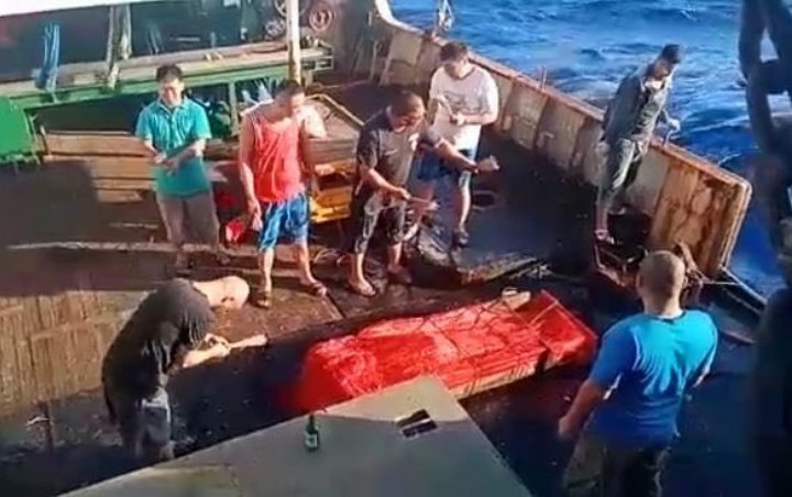 Heboh Video Jenazah WNI Dibuang ke Laut dari Kapal Tiongkok Sampai Jadi Trending Topik