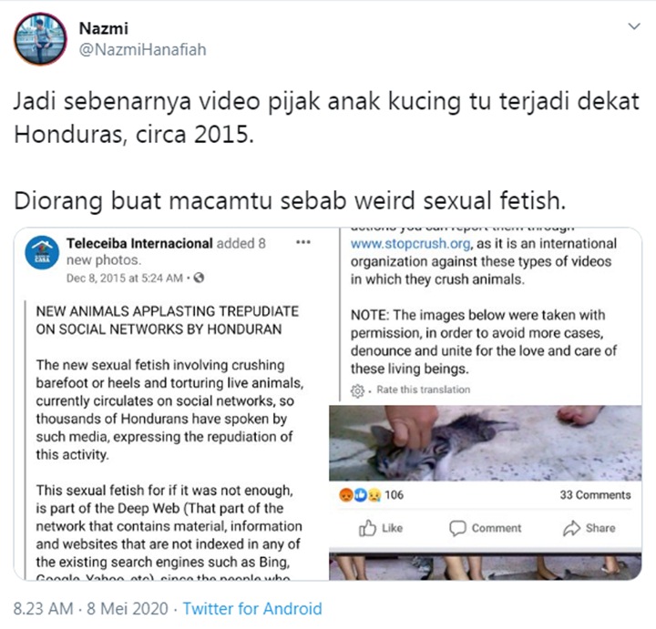 Viral Aksi Biadab Anak Kucing Diinjak Sampai Mati, Hal Tak Terduga Ini Alasannya-3