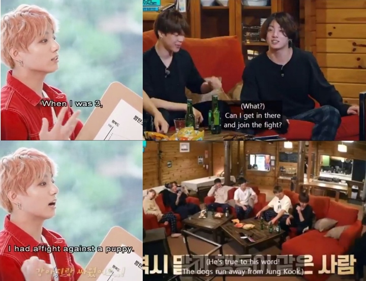 Jungkook BTS Berkelahi dengan Anjing Ketika Menuju Kebun Stroberi Paman Jin