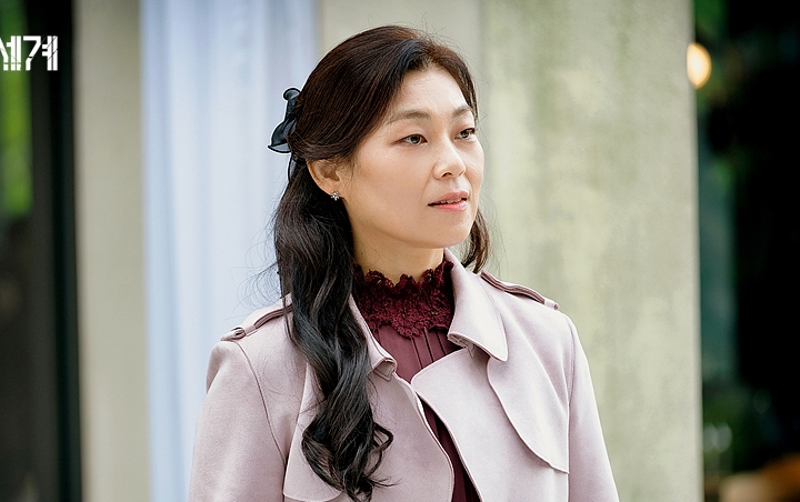 Karakter Sul Myung Sook Dipuji Sebagai Juara Sebetulnya di The World Of The Married
