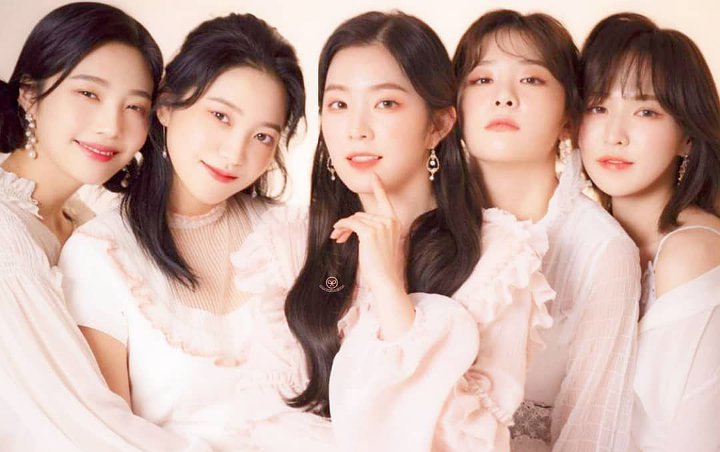 Netizen Bahas Kegiatan Terkini Member Red Velvet, dari Pemotretan Sampai Kolaborasi