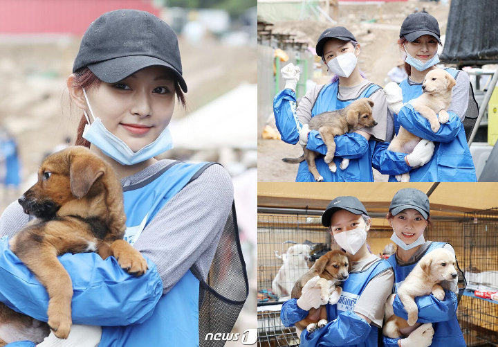 Jeongyeon dan Tzuyu