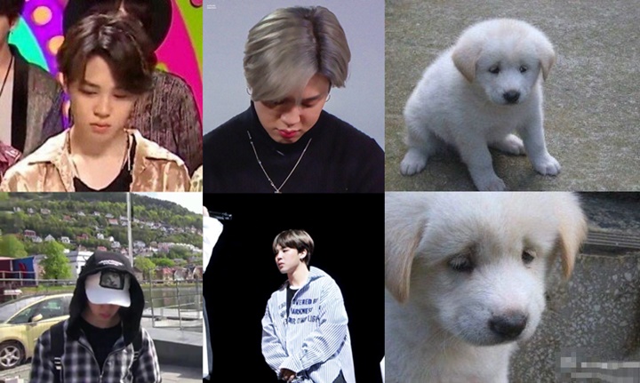 Ekspresi Kecewa Dan Ngambek Jimin BTS Justru Bikin Semua Netizen Ikut Senang 