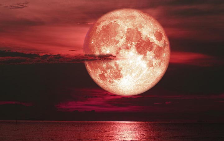 Fenomena Strawberry Moon Bakal Hiasi Langit Indonesia Malam Ini, Apa Itu?