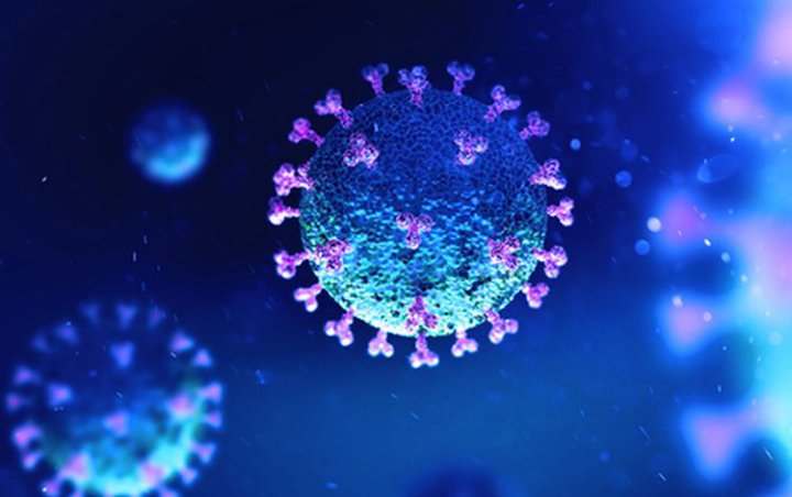 Riset Terbaru Sebut Segelintir Manusia Sudah Lebih Dulu Kebal Virus Corona