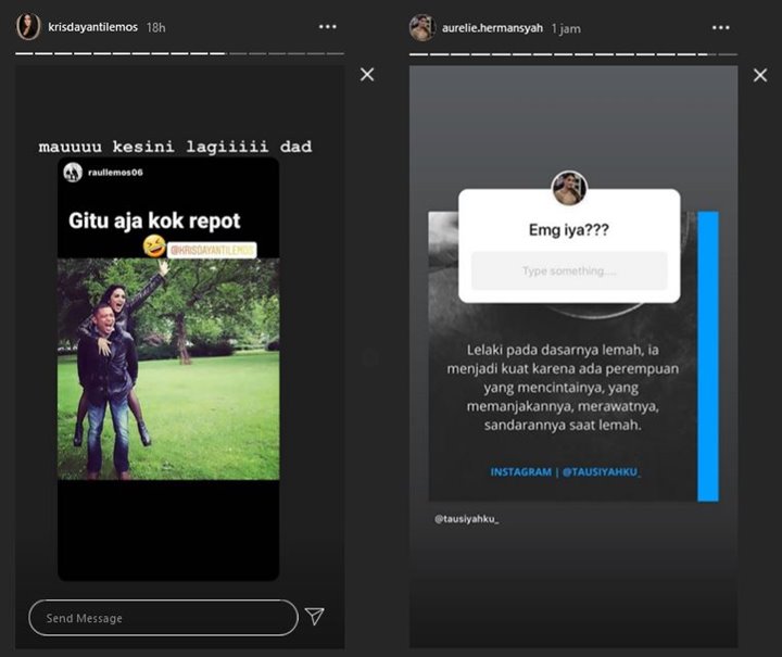 Status Krisdayanti vs Aurel