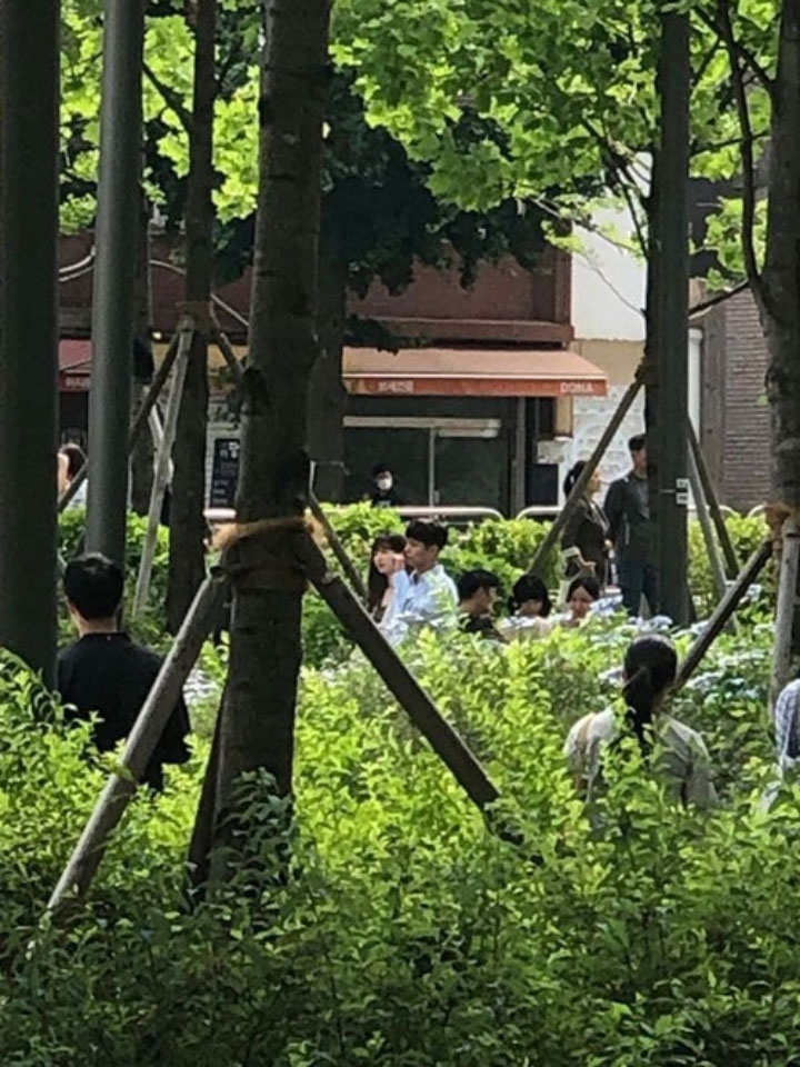 Suzy dan Park Bo Gum Kepergok Syuting Kencan Film \'Wonderland\' di Taman
