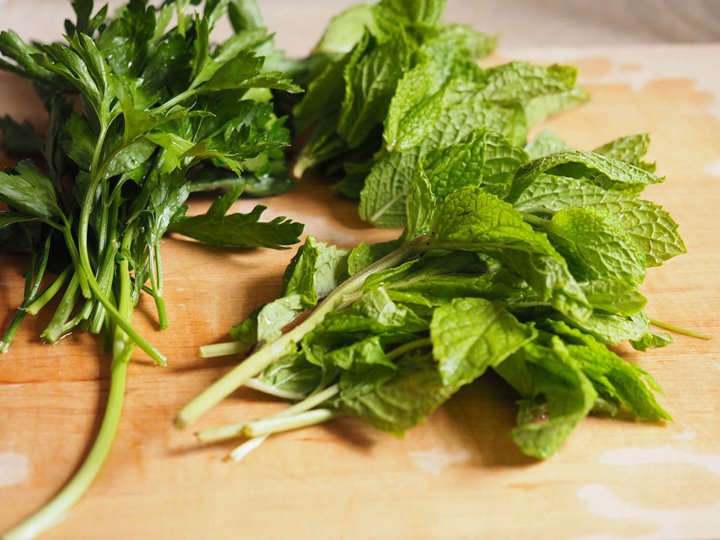 Daun Mint dan Parsley