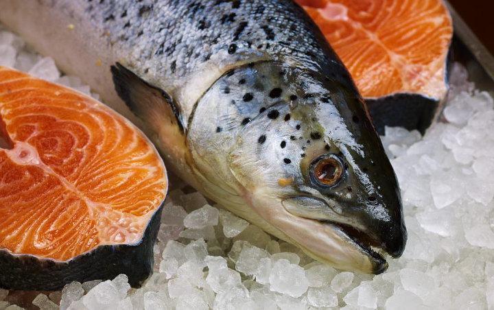 Beijing Setop Jual Ikan Salmon Usai Muncul Kasus COVID-19 Baru, Ini Kata WHO