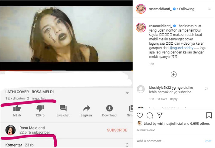 Rosa Meldianti Berterima Kasih Meski Banjir Dislikes