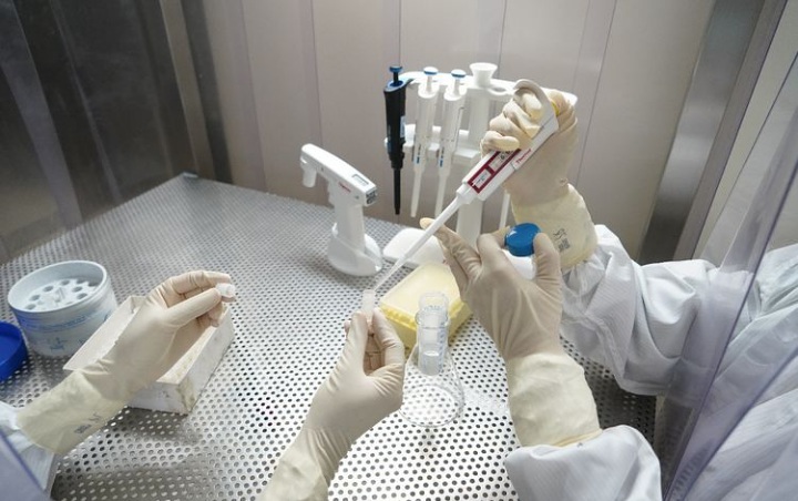 Jumlah Tes PCR Corona Di Jakarta Lampaui Target WHO, Begini Hasilnya
