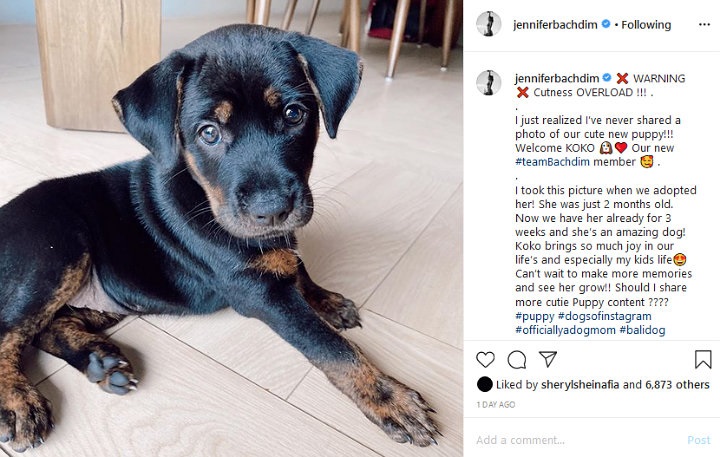 Jennifer Bachdim Kenalkan Anggota Baru di Keluarganya, Cuteness Overload!