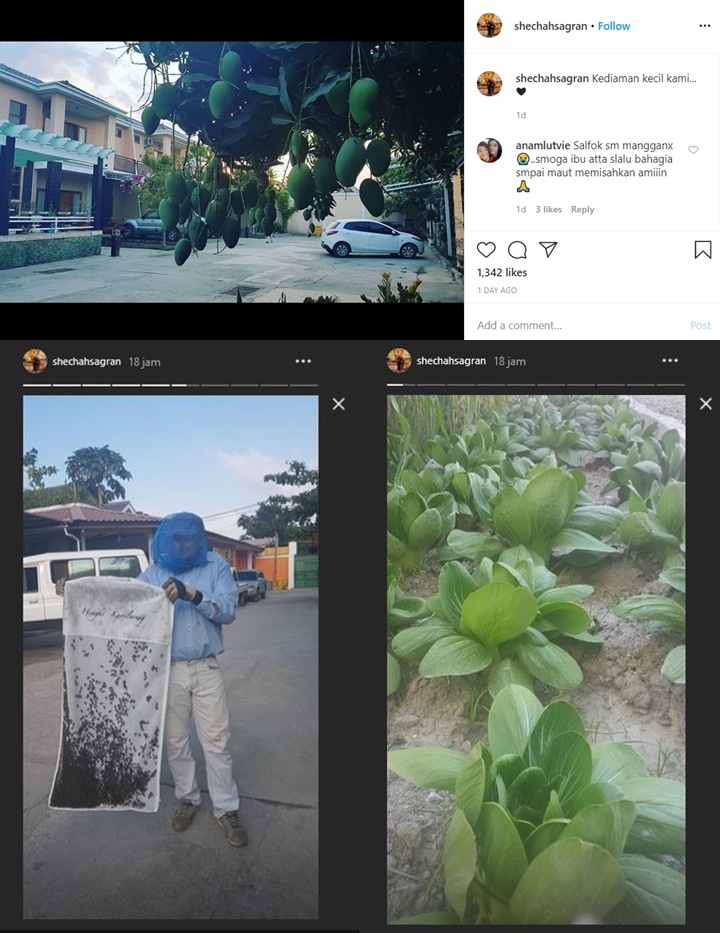 Saldo Eks Istri Raul Lemos Miliaran, Rumah Mewah Saingi Krisdayanti Bikin Kagum