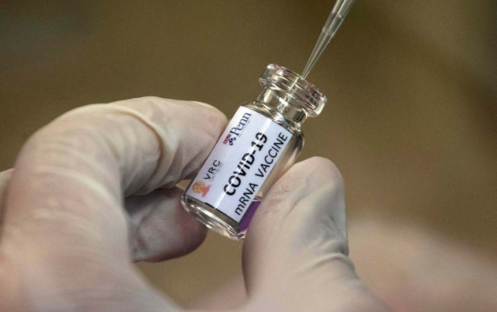 Pemerintah Indonesia Akan Beri Hadiah Menarik Ini Bagi Penemu Vaksin Corona