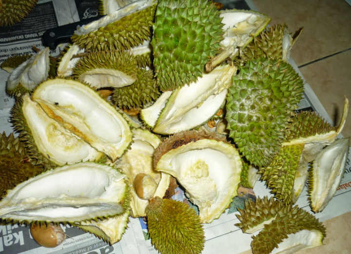 Kulit Durian