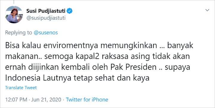Viral Paus Orca di Perairan Papua, Ini Harapan Susi Pudjiastuti pada Jokowi
