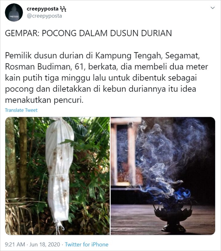 Viral Petani Durian Pasang Pocong dan Bakar Dupa Untuk Menakuti Pencuri