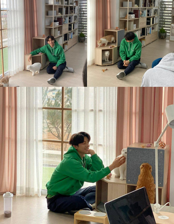 Gong Yoo Pose Santai Bareng Kucing, Bikin Tak Bisa Move On dari \'Goblin\' dan \'Coffee Prince\'