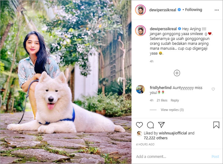 Dewi Persik Bahas Beda Kelakuan Anjing dan Manusia, Sindir Siapa?