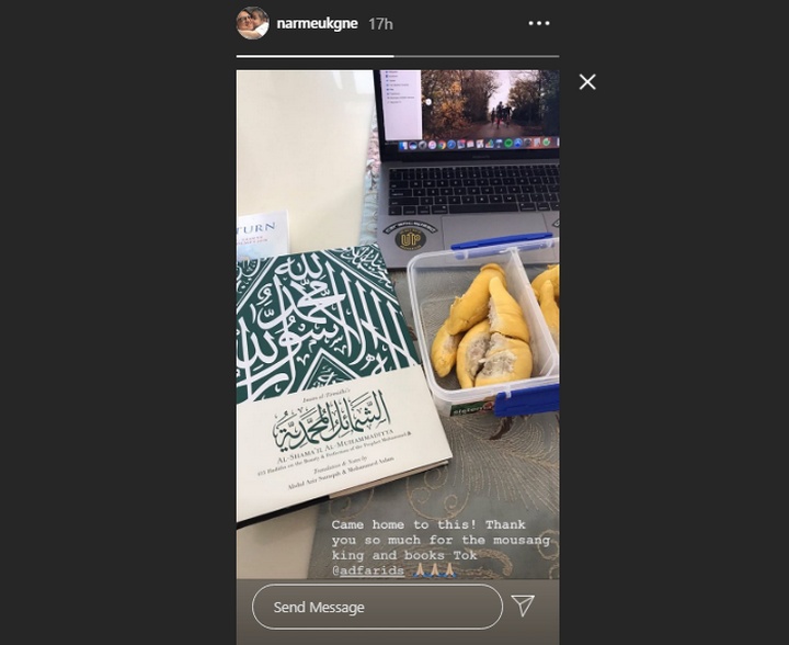 Engku Emran Sibuk Sendiri Usai Cerai dari Laudya Cynthia Bella