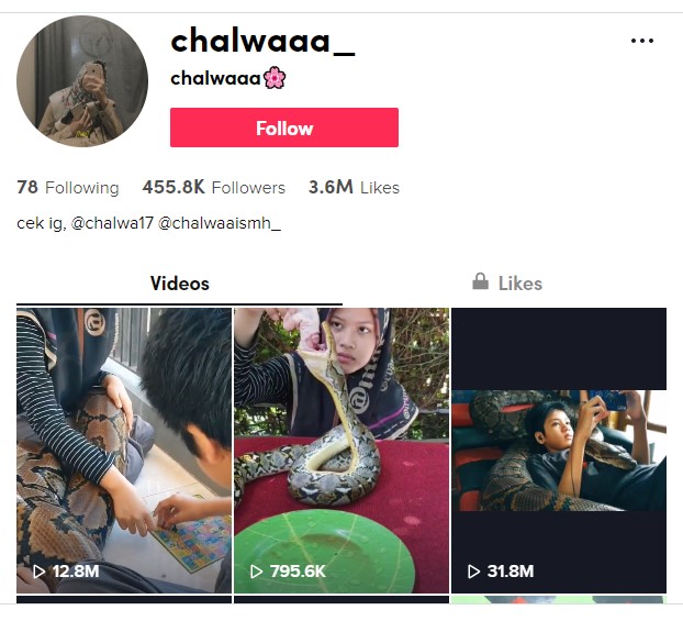 Viral Video Seorang Wanita Main Ular Tangga Ditemani Anaconda