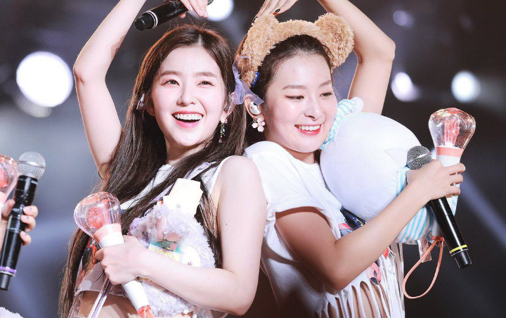 Inilah Yang Bikin Irene Seulgi Red Velvet Sub Unit Paling