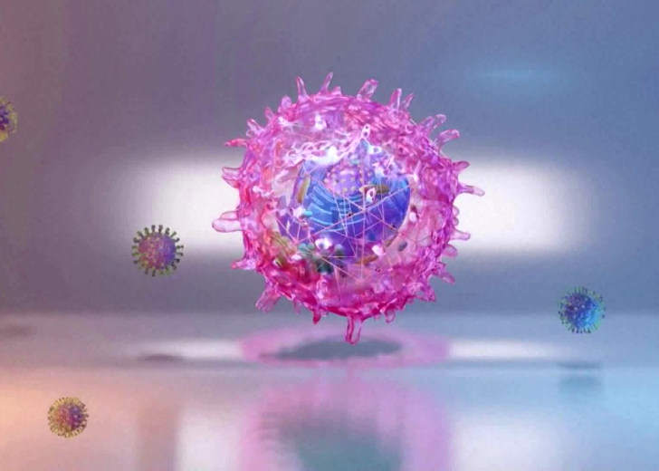 Virus