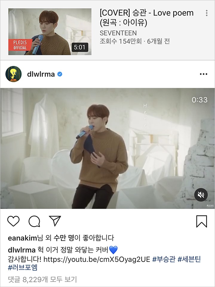 Seungkwan Seventeen Kehilangan Nama Panggung Gara-Gara IU, Kok Bisa?
